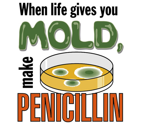 mold and penicillin