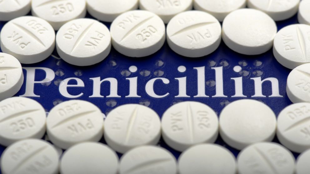 Image result for penicillin