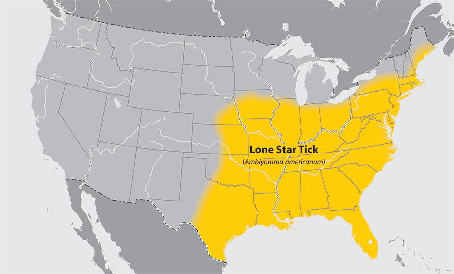 tick area