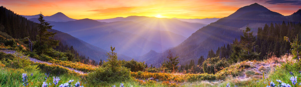 mountains in the spring